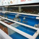 사당역 11번 출구 앞 이미지