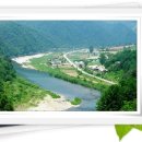 산채으뜸마을 이미지