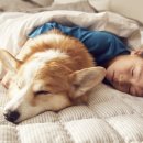 에코엠㈜ 이미지