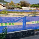 선화다실 이미지