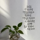 9월 5일 목요일 톡톡 수다 끝말잇기 이미지