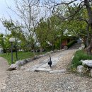 신도흙집용두레민박 | [신시모도 1박2일] 신도흙집 용두레 숙소 후기, 나도 한다 촌캉스!
