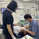 청학동 행정복지센터 이미지