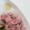 고암길 | [양주 꽃집] 나를 위한 꽃 선물 🌷 : 옥정꽃집 솔산 방문후기