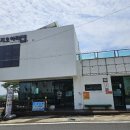 지오샵 | 산방산카페 지오아라 후기, 산방산 뷰 보며 즐긴 다쿠아즈와 음료