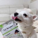 서포트몰 | 강아지신장질환사료 추천 벳키퍼 키드니 서포트 습식 처방사료 후기