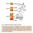 줄기세포란 무엇인가? 21세기 의학 혁명 이미지