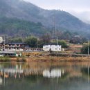 낚시플랙스 네이버블로그