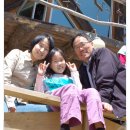 세쌍둥이네 풀꽃세상 이미지