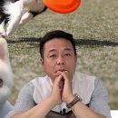 진도애견훈련소 이미지