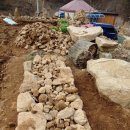 숲속의 돌담 이미지