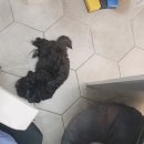 바라봄동물병원 이미지