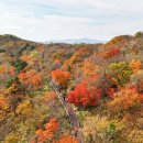(야간)치유요가 이미지