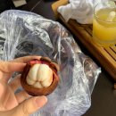 나트랑 65번 과일가게 그린망고 망고스틴 가격 후기