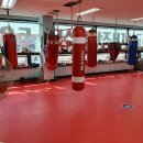 변교선 대전복싱클럽 이미지