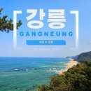 인피니티 | 강릉 세인트존스호텔 인피니티풀 수영장 호캉스 후기