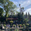 우중불고기 이미지