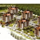 풀베르데 이미지