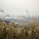 그린해수탕 이미지