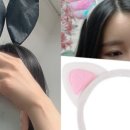 비제이뷰티BJ