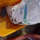 용골농원 이미지