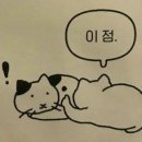 더키월드 이미지