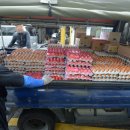 김동훈 농장 이미지