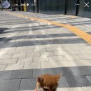 에이블리 옷장 눌러줄게 이미지