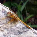 체력단련 이미지