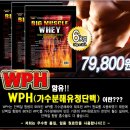 영바이오텍 이미지