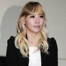 징거 카카오 검색결과