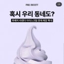 폴 바셋 강남역 삼성화재점