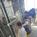 아이해뜰어린이집 | [아이뜰동산어린이집] 체험학습 다녀온 아가~♥