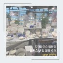 (주)아성다이소 마리오아울렛점 | 모던하우스 NC구로점 방문기 할인정보 및 꿀템추천 내돈내산 솔직후기