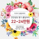 다우리미용실 - 은평구 응암동 | 성남붙임머리추천 고민되면 다우리
