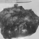 네오메디컬동물병원 이미지