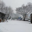 마실휴양농원 이미지