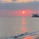 강호체육관(태권도) 이미지