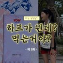 퍼스트인텐션 | [러닝일기]마블런 하프 마라톤 후기(첫 하프 마라톤/여자 하프 마라톤 기록/나이키 알파플라이 3/러닝템...