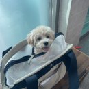 신공항LPG충전소 이미지