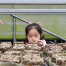 김미자농장 이미지