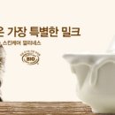 큰사랑화장품주