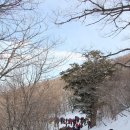 태백