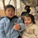 다둥이도시락 | 서울대공원 동물원 후기｜다둥이카드 무료입장 + 코끼리열차 꿀잼