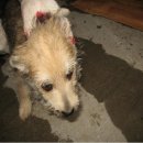 영림축산 이미지