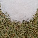 본라인한의원 이미지