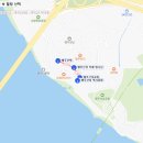 허미숙애견 | 경기도 고양시 덕양구 애견산책 1시간 코스 TOP 3