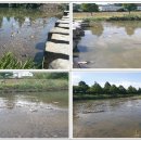 수영강 동천교 이미지