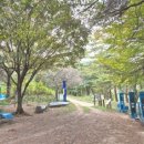 예향천리마실길 1코스 읍성성곽길 이미지