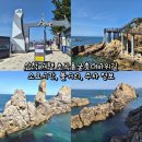 초곡2리마을회관 | 삼척 여행 초곡용굴촛대바위길, 소요시간, 볼거리, 주차 정보